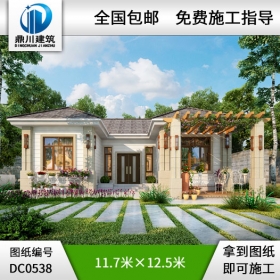 新農(nóng)村一層經(jīng)濟型自建別墅設計圖紙及效果圖_農(nóng)村平房別墅圖紙,鼎川建筑