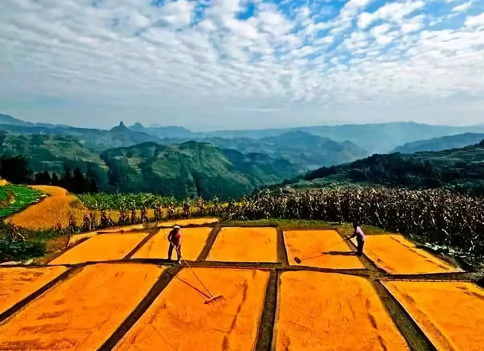 農(nóng)村宅基地政策變化，一塊宅基地不同補(bǔ)償方式！